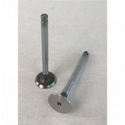 Exhaust Valve Hcy129100-11130 | Benzel Total Equipment Parts | Part # BZ-HCY129100-11130-HYC