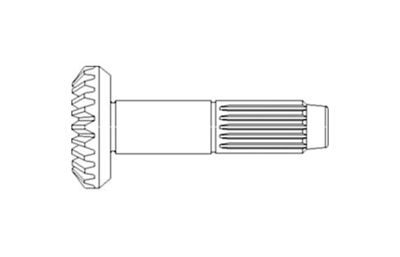 Case Gearbox Pinion