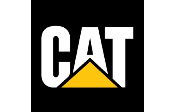 Cat Retainer PLASTIC CAP, J200 Part # 8E6209