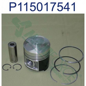 Piston & Ring Kit, Standard Hcp115017541 | Benzel Total Equipment Parts | Part # BZ-HCP115017541-HYC